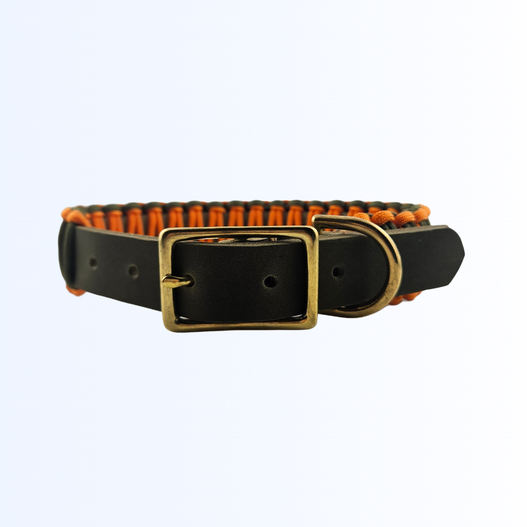 3811 HUNDEHALSBAND