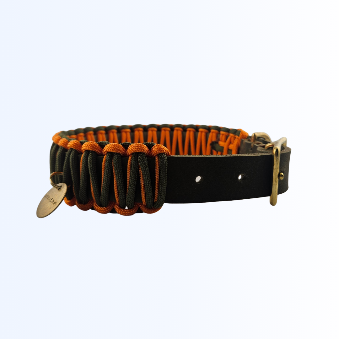 3811 HUNDEHALSBAND