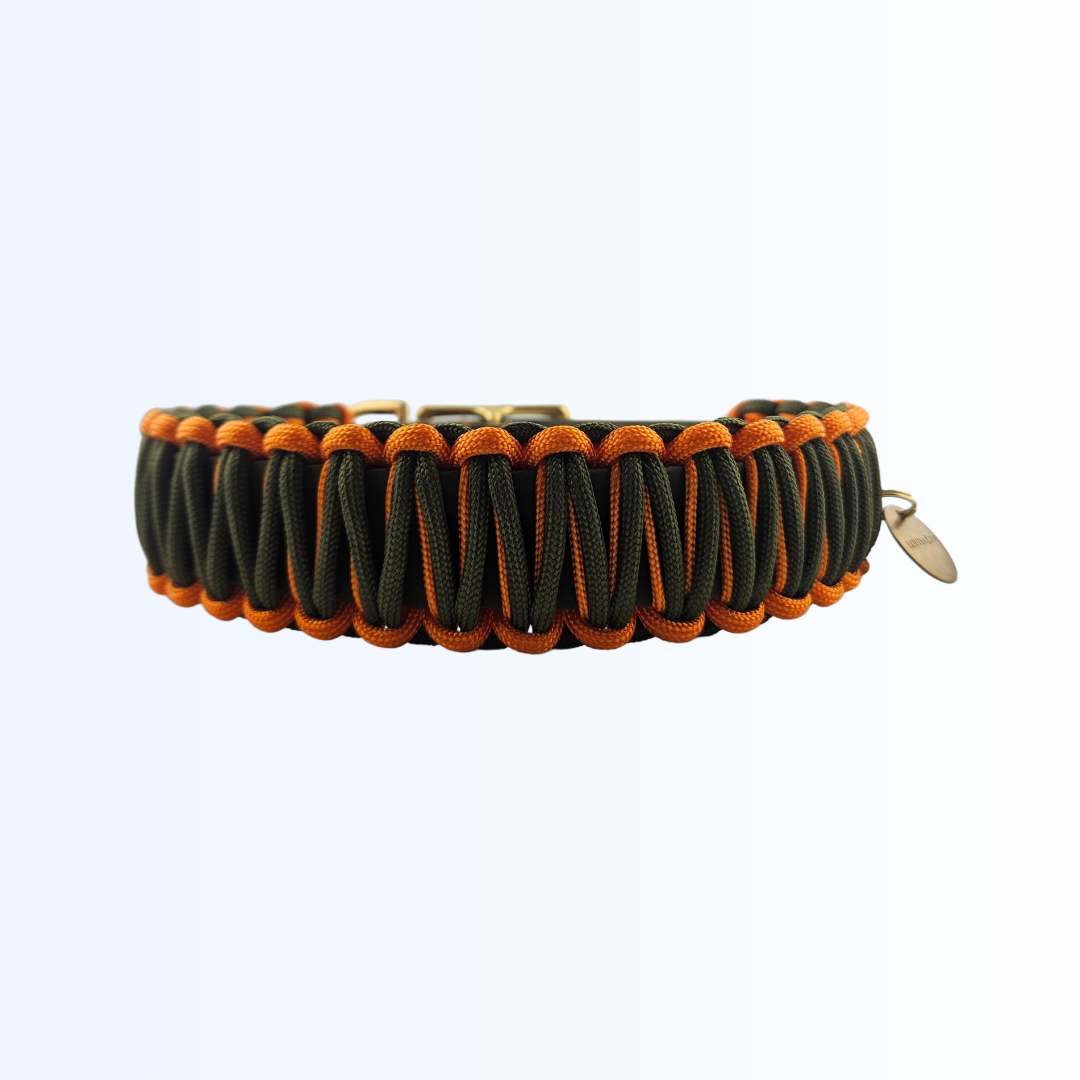3811 HUNDEHALSBAND