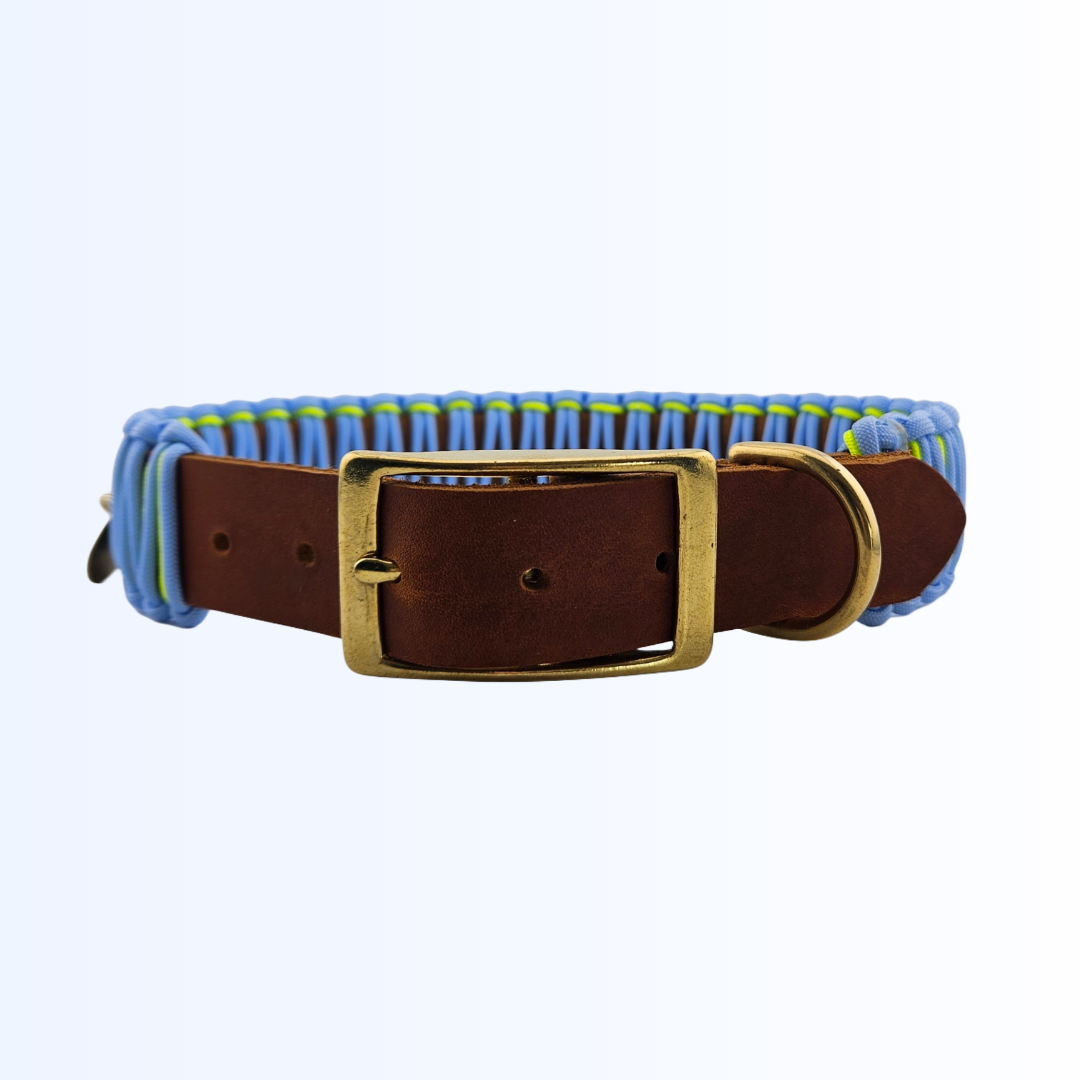6815 HUNDEHALSBAND
