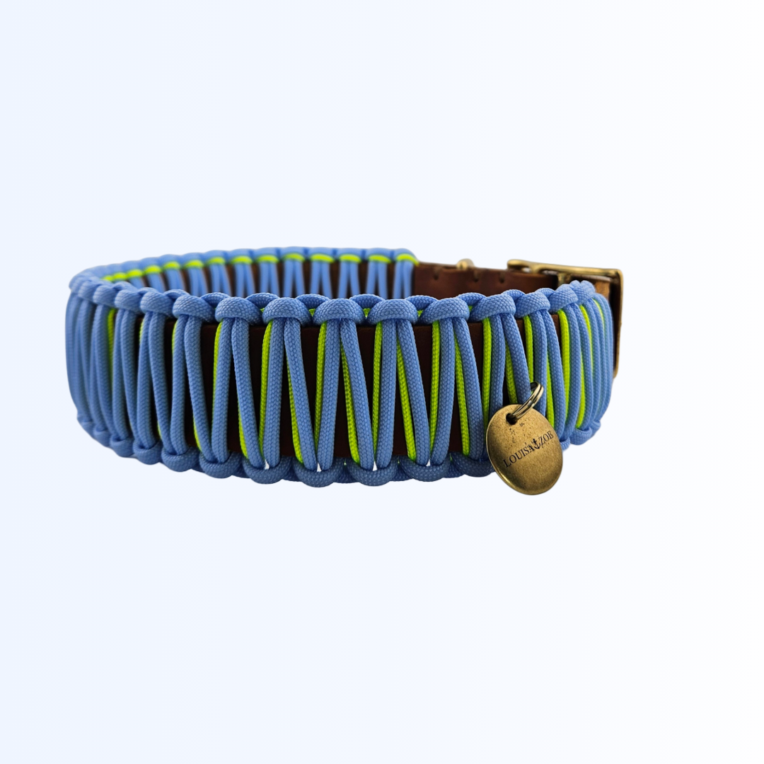 Hundehalsband Leder Paracord