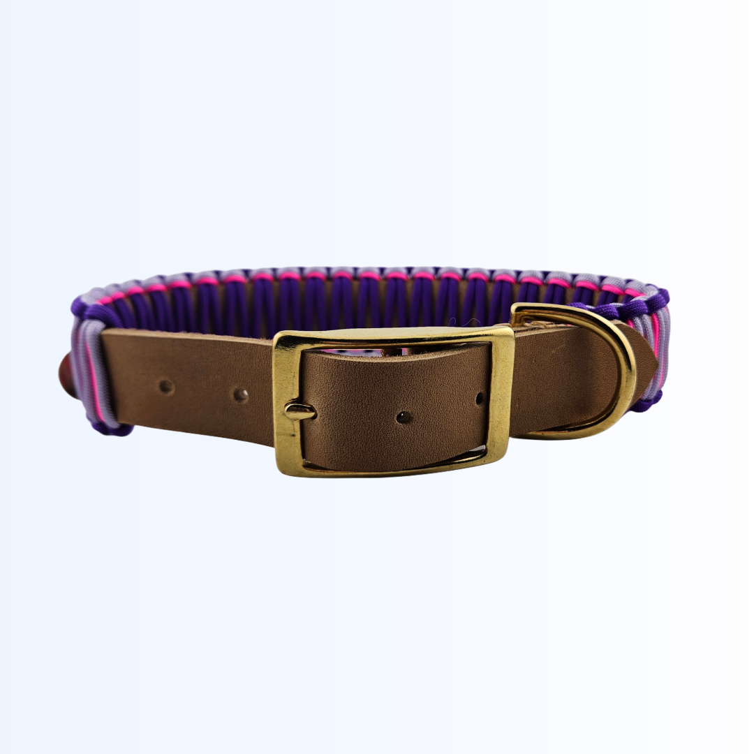 2422 HUNDEHALSBAND