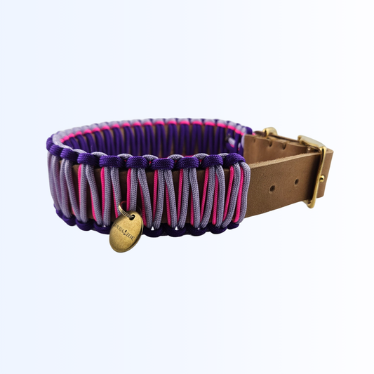 2422 HUNDEHALSBAND