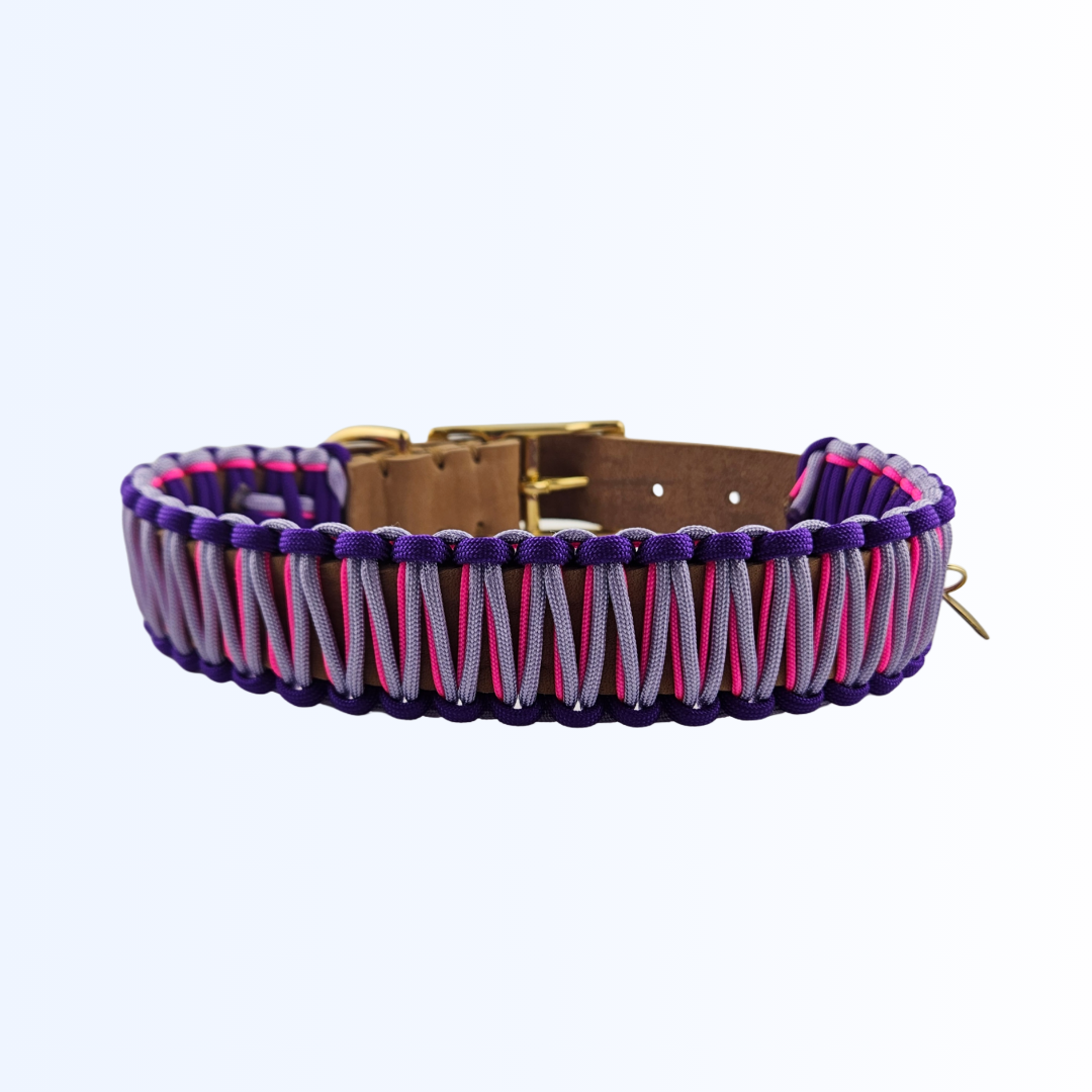 2422 HUNDEHALSBAND