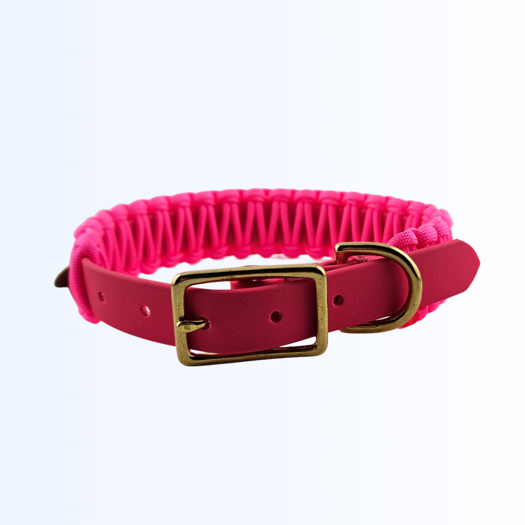 2835 Hundehalsband Biothane