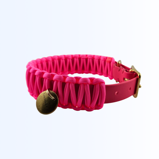 2835 Hundehalsband Biothane