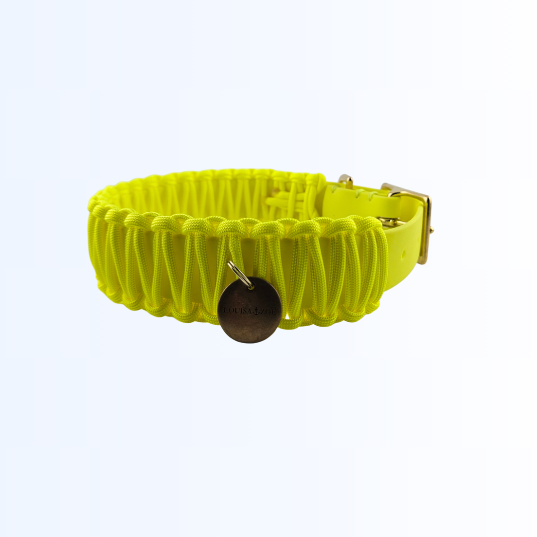 2835 Hundehalsband Biothane