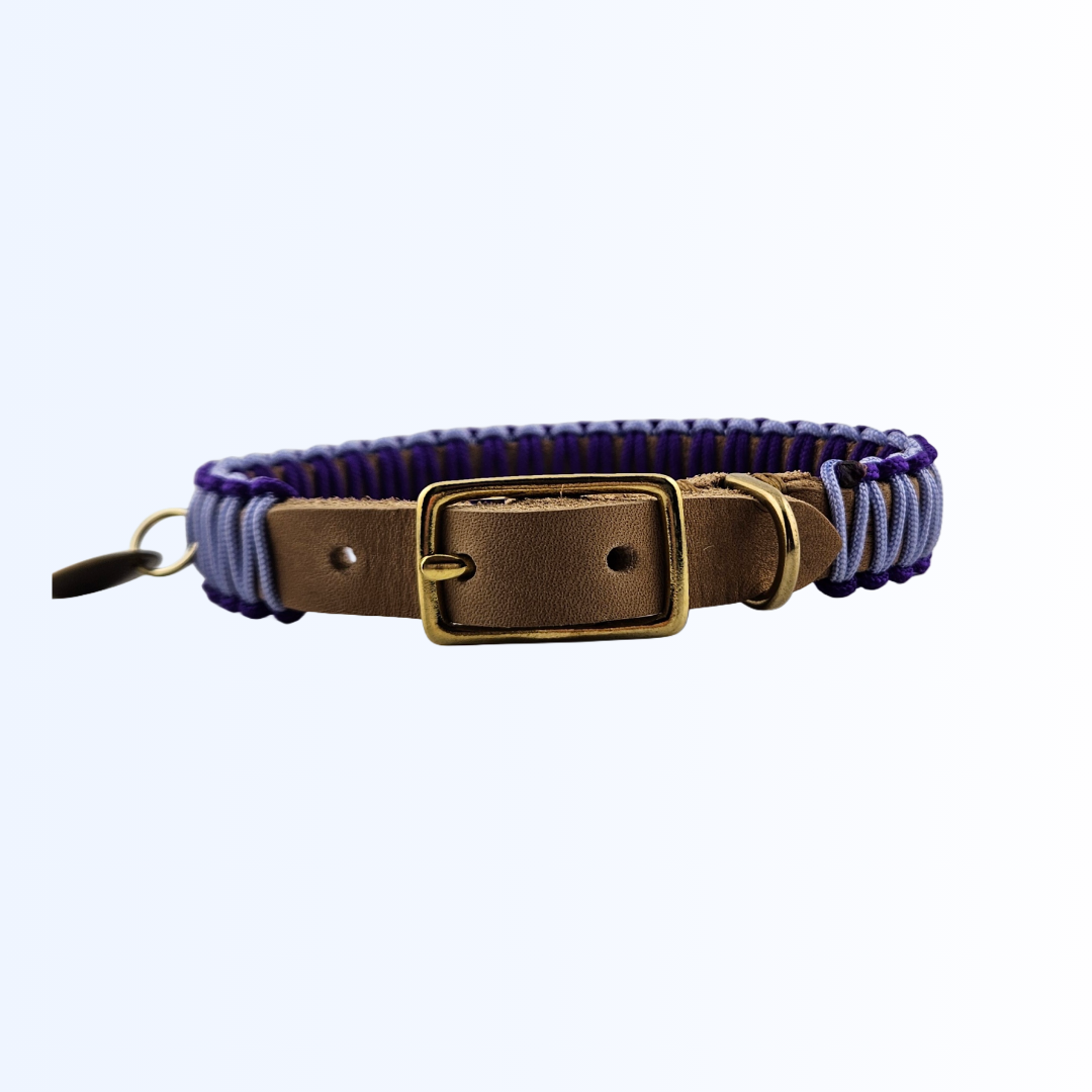 2422 HUNDEHALSBAND