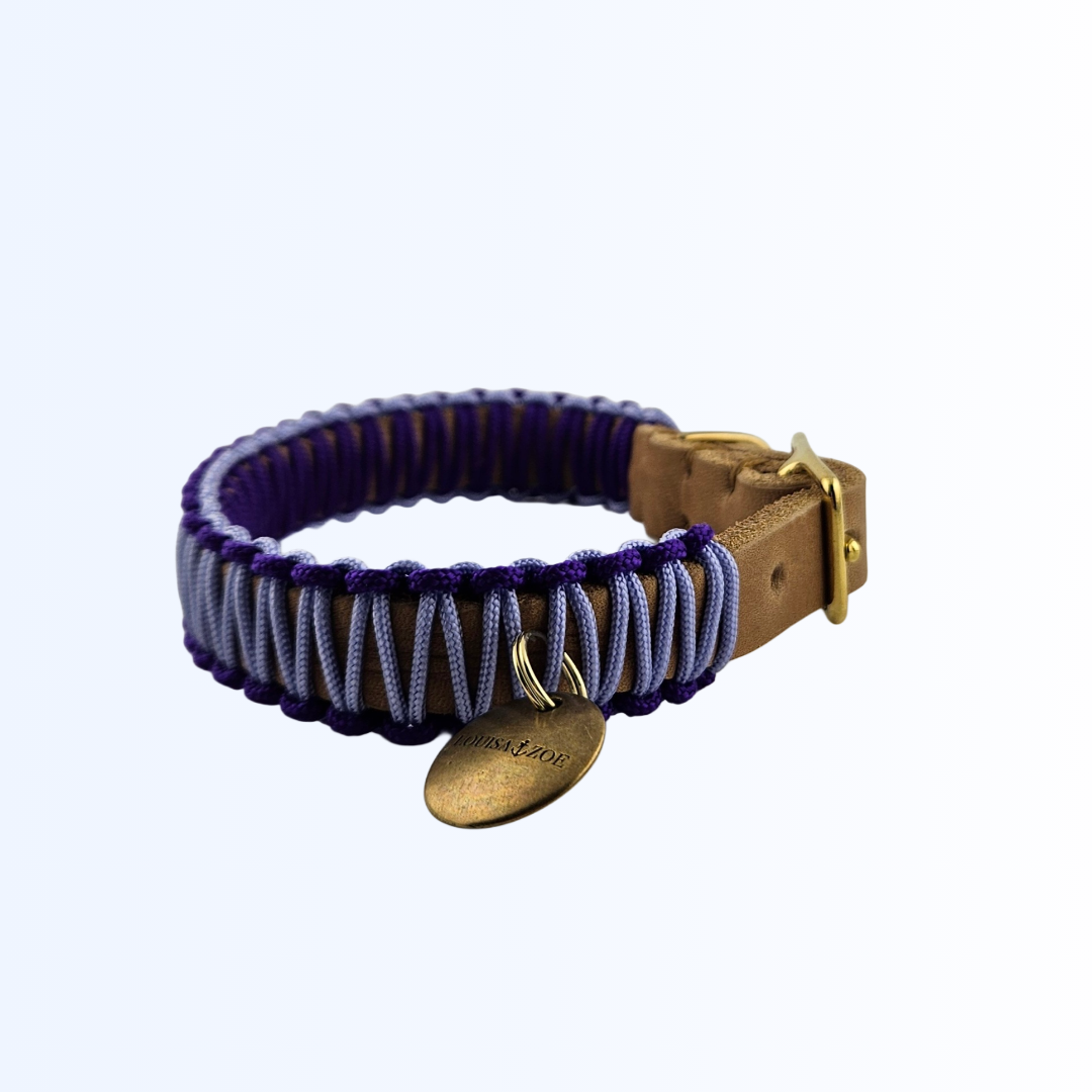 2422 HUNDEHALSBAND