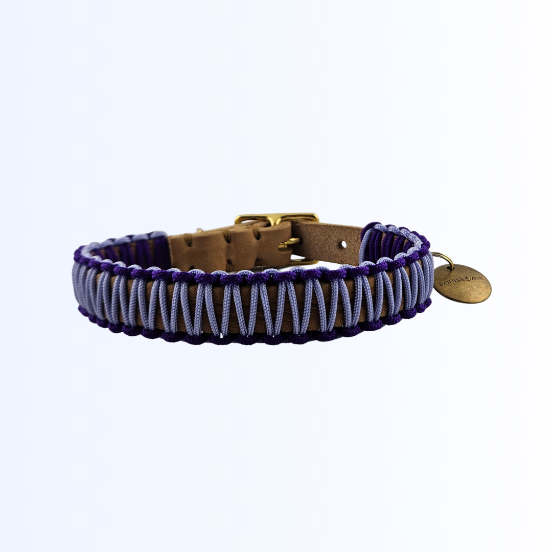 2422 HUNDEHALSBAND
