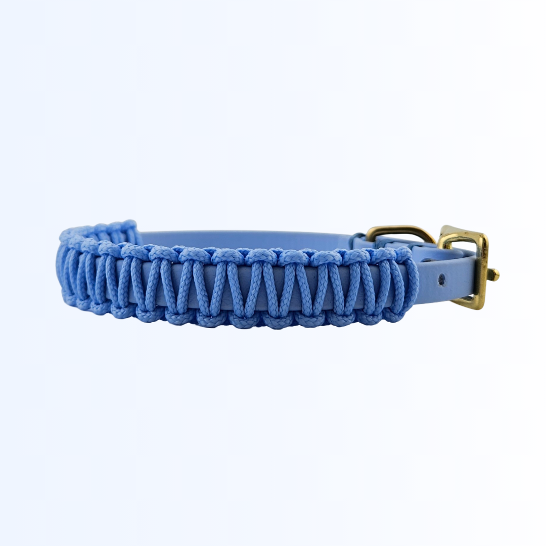 2835 Hundehalsband Biothane