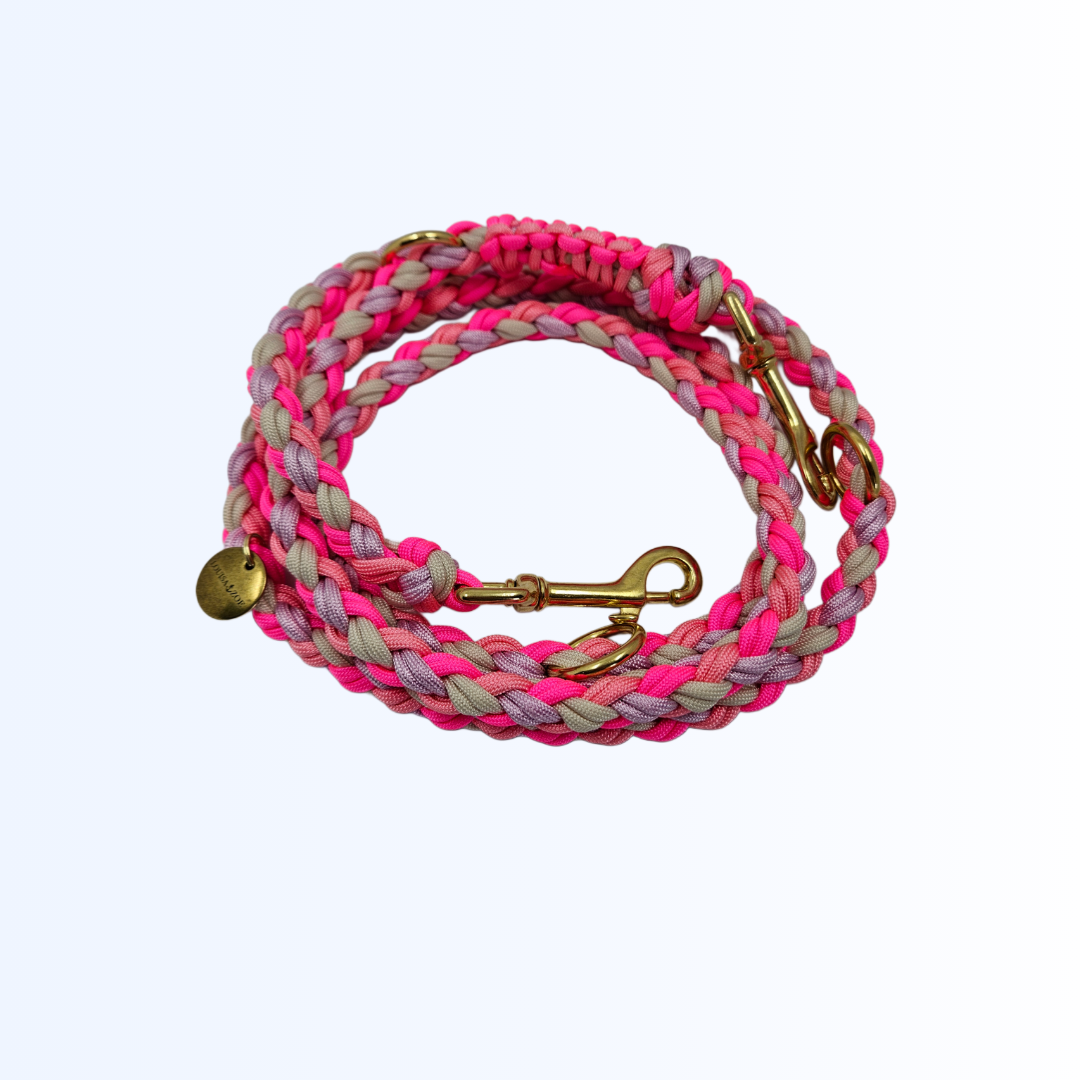 1991 Hundeleine Paracord