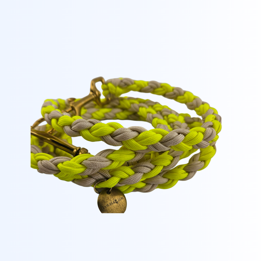 1451 Hundeleine Paracord