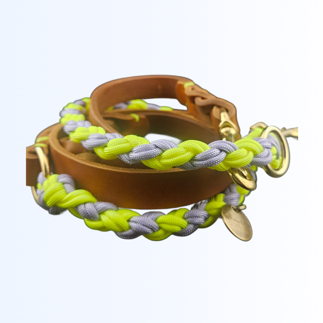 2121 HUNDEHALSBAND Cognac Flieder Neon Gelb