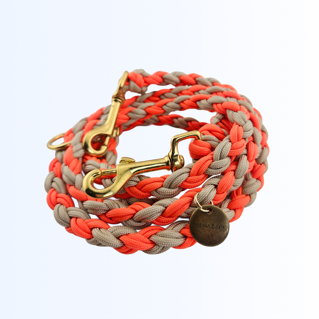 2391 Hundeleine Paracord