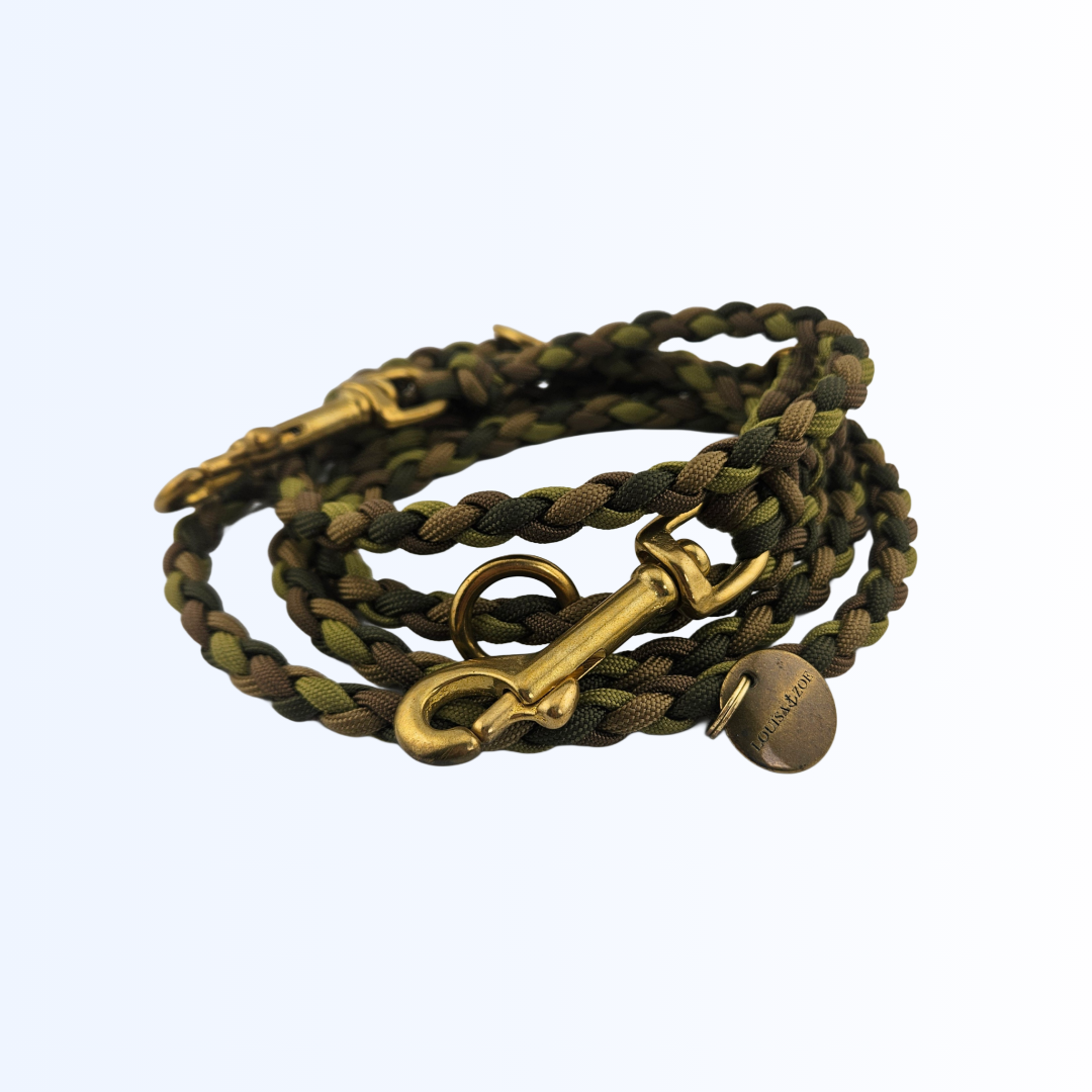 3113 Hundeleine Paracord