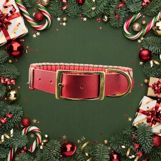 2025 Hundehalsband Limitierte Xmas Edition Rot Grösse L (44-54cm) 3cm Lederbreite