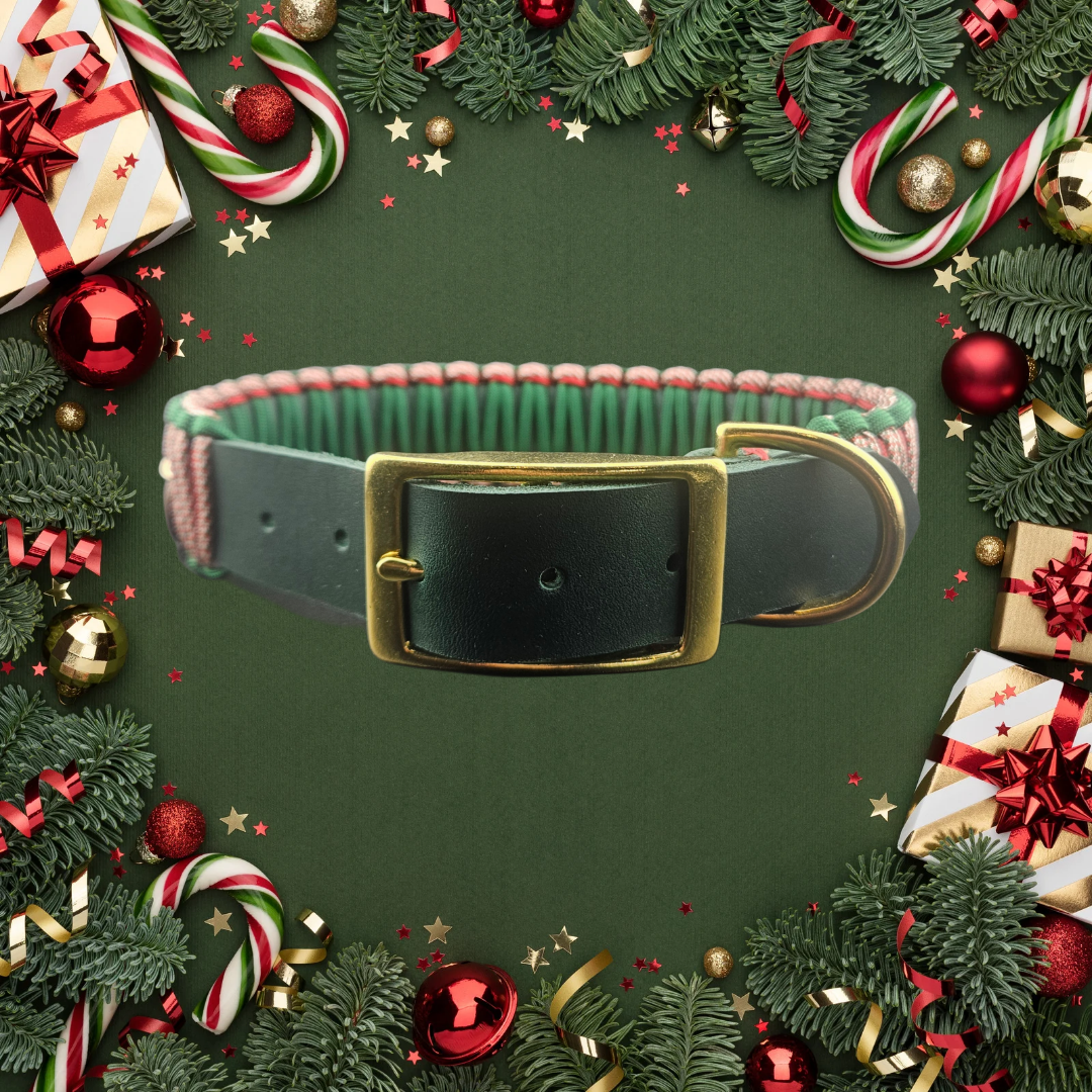 2025 Hundehalsband Limitierte Xmas Edition Grün Grösse L (44-54cm) 3cm Lederbreite