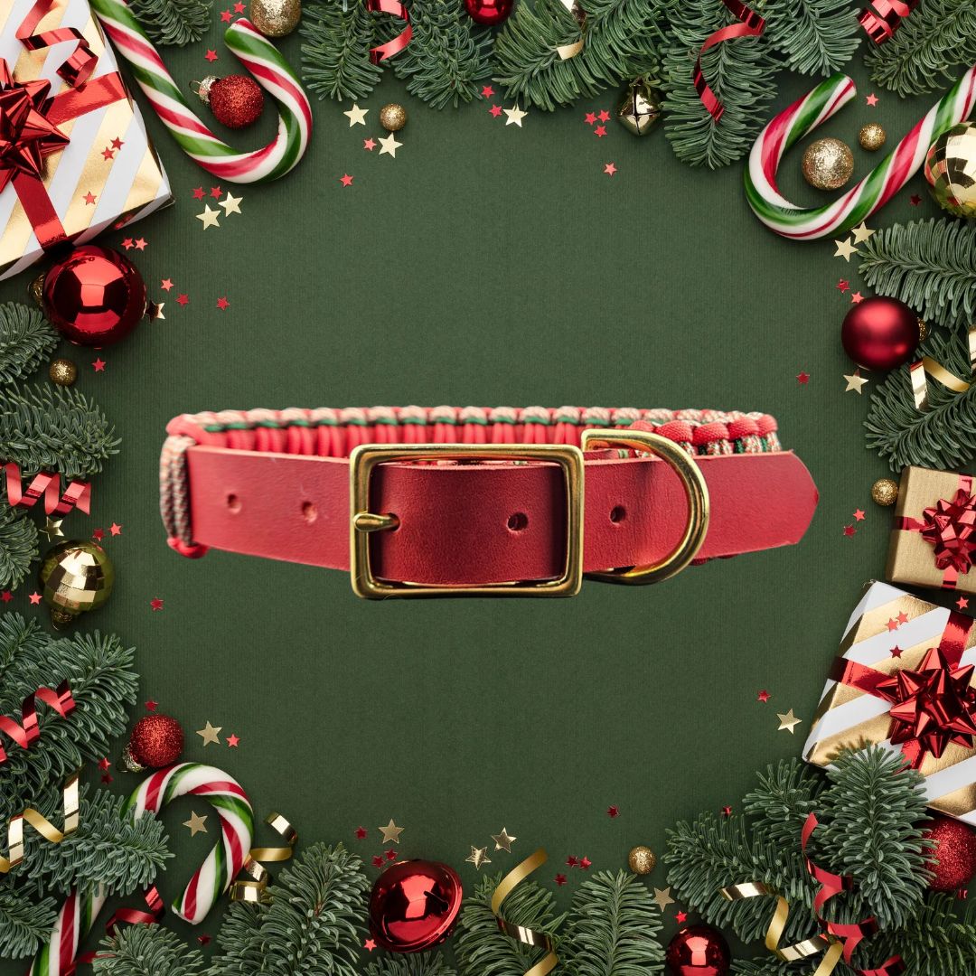 2025 Hundehalsband Limitierte Xmas Edition Rot Grösse M (36-46cm) 2,5cm Lederbreite