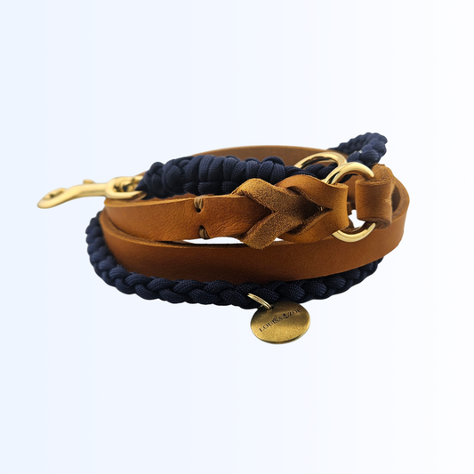 3118 Hundeleine Leder Paracord