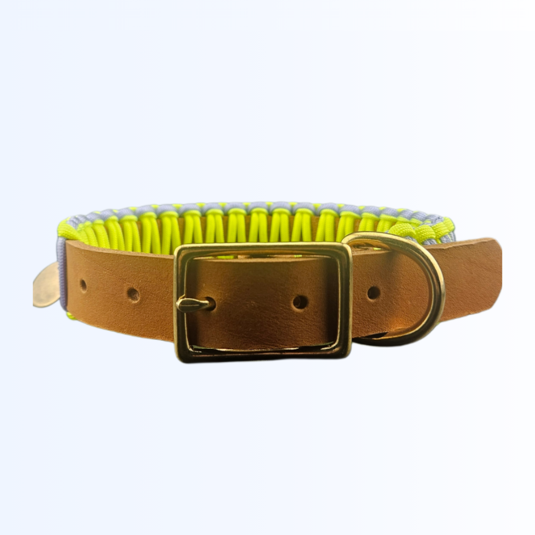 2121 HUNDEHALSBAND Cognac Flieder Neon Gelb