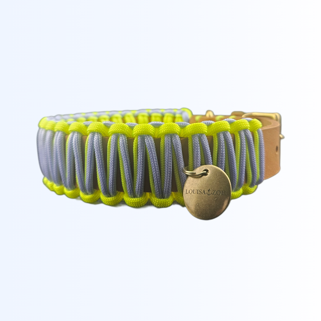 2121 HUNDEHALSBAND Cognac Flieder Neon Gelb
