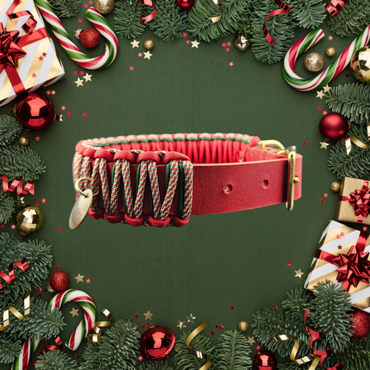 2025 Hundehalsband Limitierte Xmas Edition Rot Grösse M (36-46cm) 2,5cm Lederbreite
