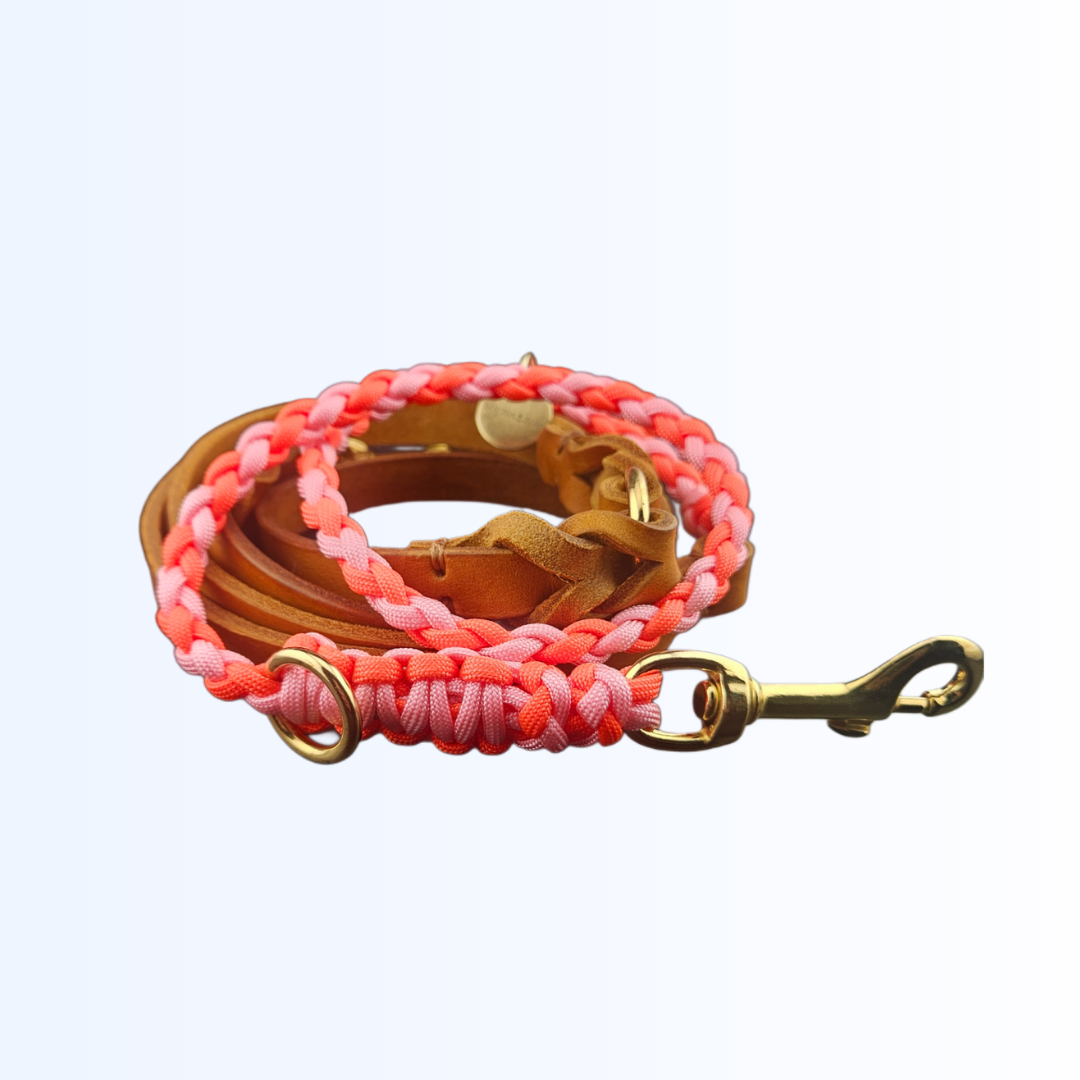 1991 Hundeleine Leder Paracord