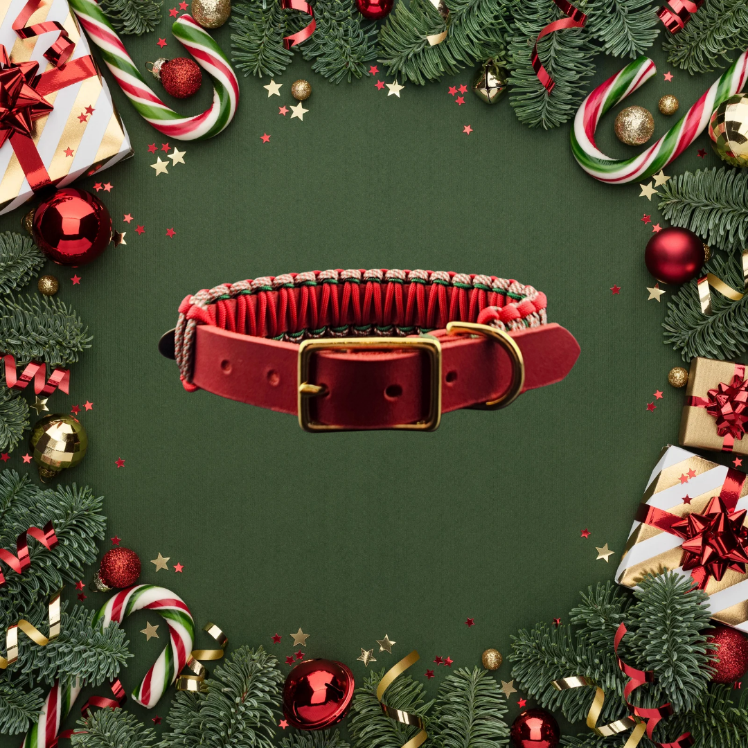 2025 Hundehalsband Limitierte Xmas Edition Rot Grösse S (30-38cm) 2,0cm Lederbreite