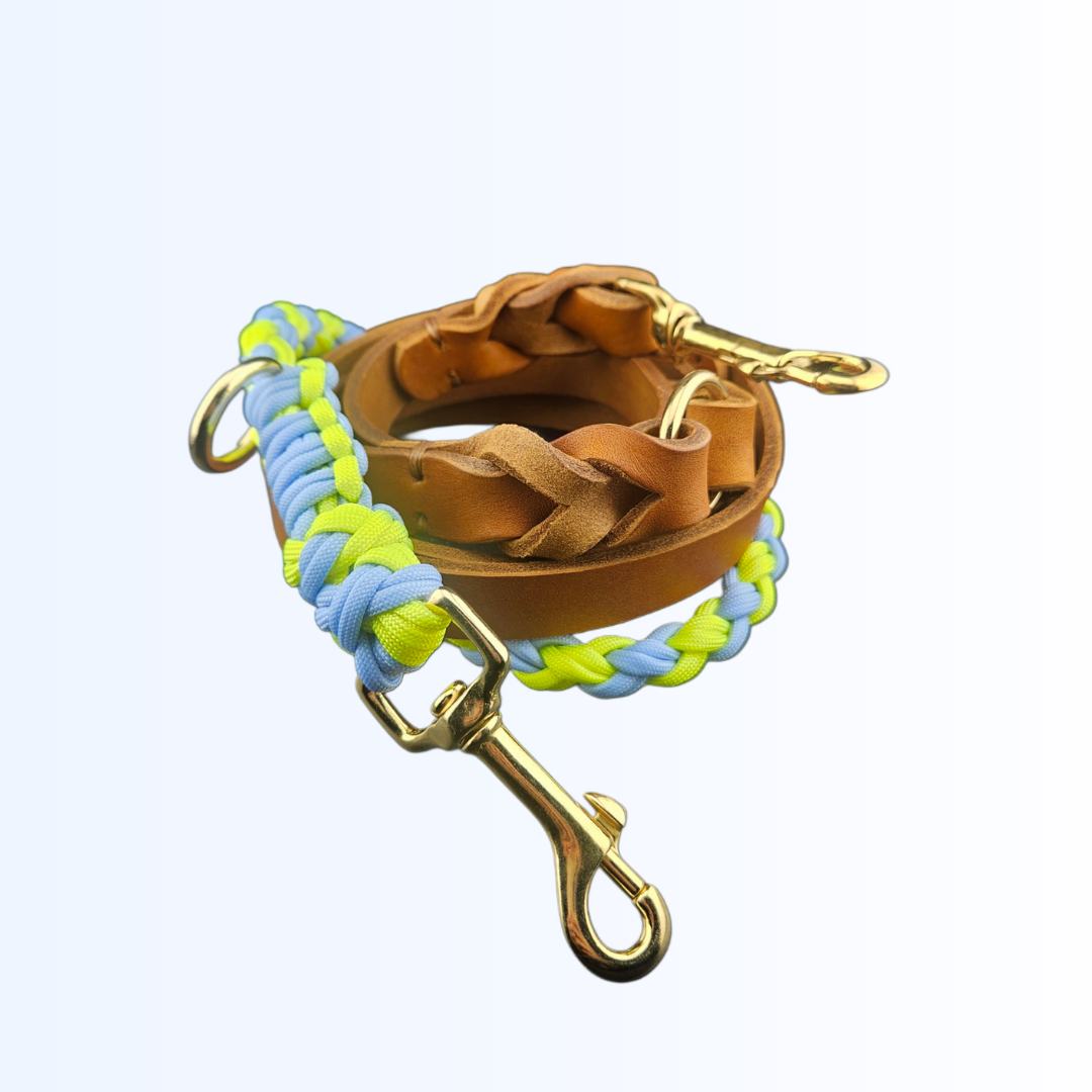 6815 Hundeleine Leder Paracord