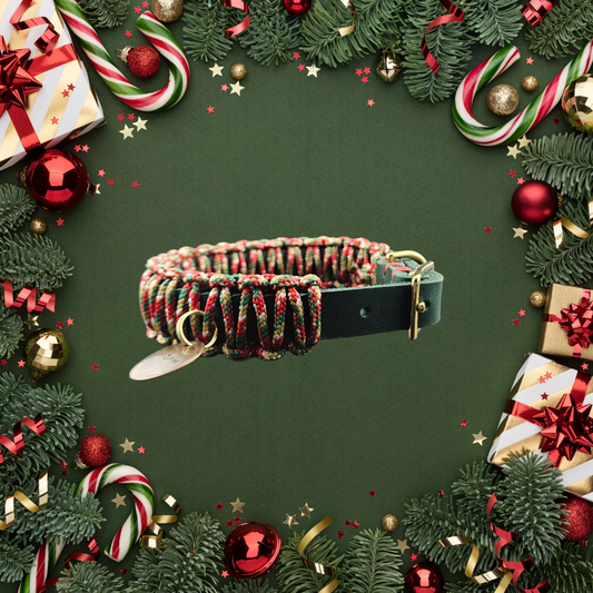 2025 Hundehalsband Limitierte Xmas Edition Grün Grösse XS Plus (26-30cm) 1,5cm Lederbreite