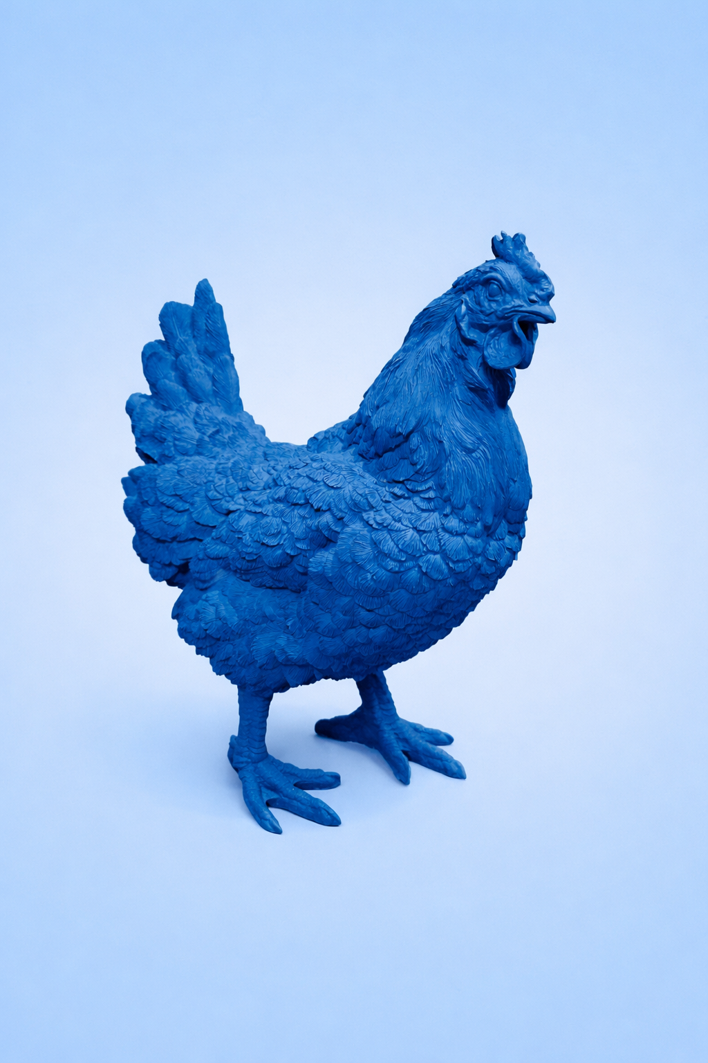 2026 Buntes Huhn