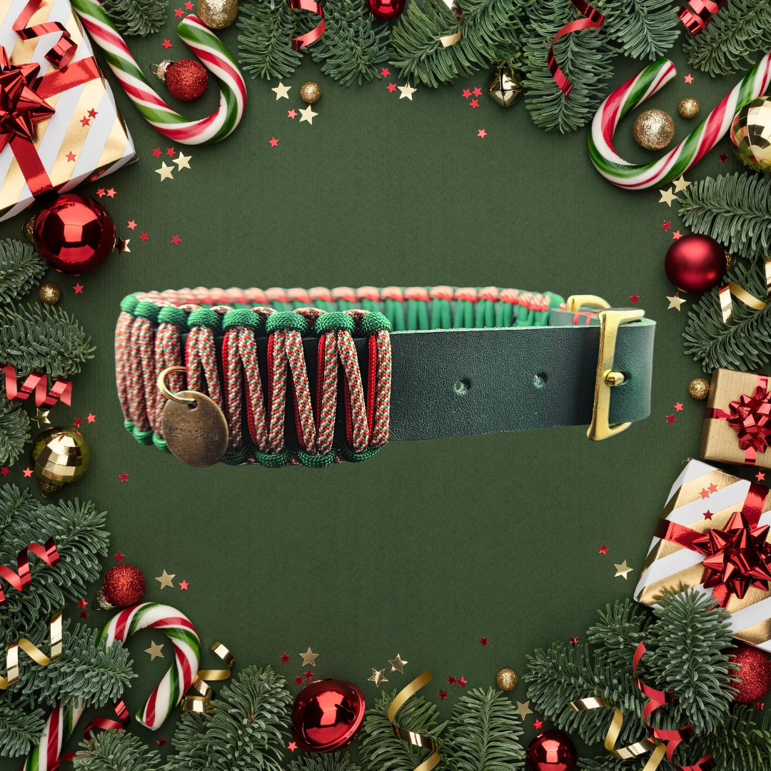 2025 Hundehalsband Limitierte Xmas Edition Grün Grösse L (44-54cm) 3cm Lederbreite