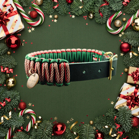 2025 Hundehalsband Limitierte Xmas Edition Grün Grösse M (36-46cm) 2,5cm Lederbreite