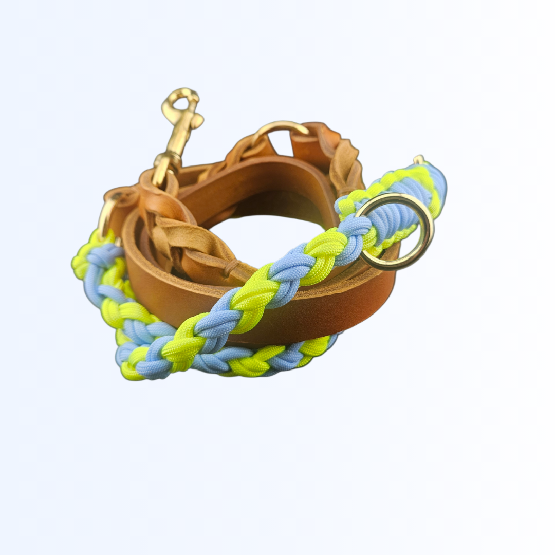 6815 Hundeleine Leder Paracord