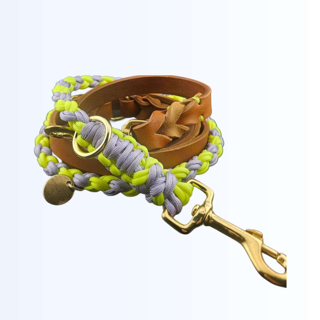 2121 Hundeleine Leder Paracord - Cognac Flieder Neon Gelb