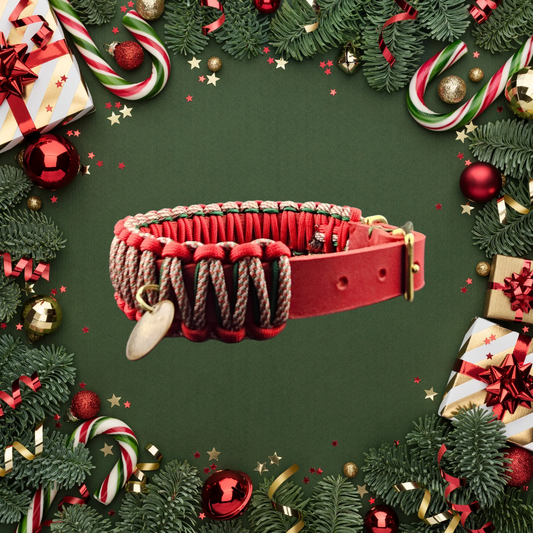 2025 Hundehalsband Limitierte Xmas Edition Grün Grösse S Plus (30-38cm) 2,0cm Lederbreite