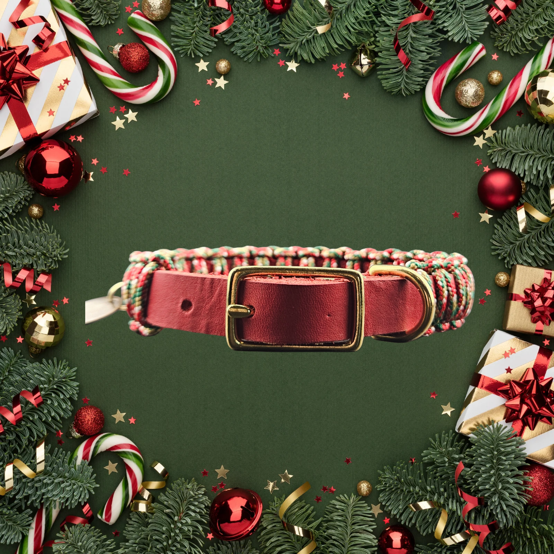 2025 Hundehalsband Limitierte Xmas Edition Rot Grösse XS Plus (26-30cm) 1,5cm Lederbreite