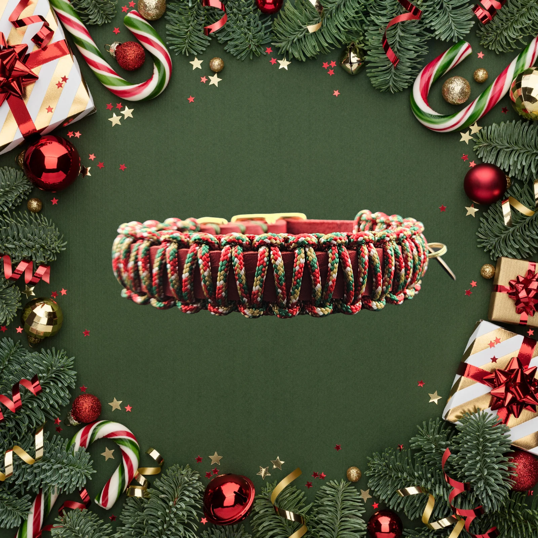 2025 Hundehalsband Limitierte Xmas Edition Rot Grösse XS Plus (26-30cm) 1,5cm Lederbreite
