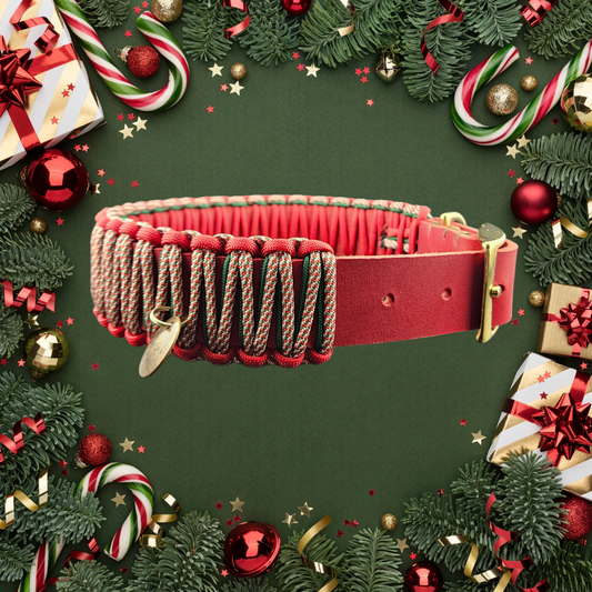 2025 Hundehalsband Limitierte Xmas Edition Rot Grösse L (44-54cm) 3cm Lederbreite