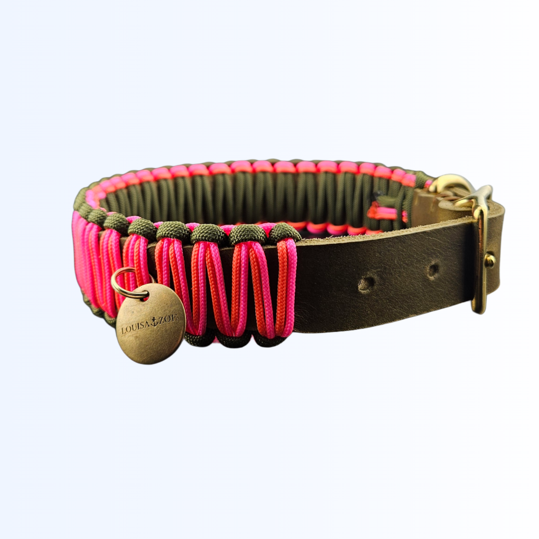6181 HUNDEHALSBAND Oliv Neon Pink Neon Orange
