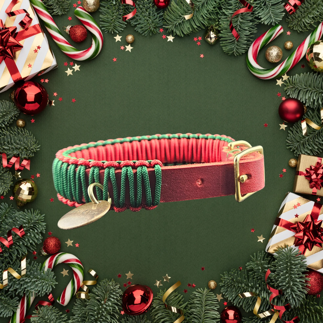 2025 Hundehalsband Limitierte Xmas Edition Rot Grösse XS Plus (26-30cm) 1,5cm Lederbreite