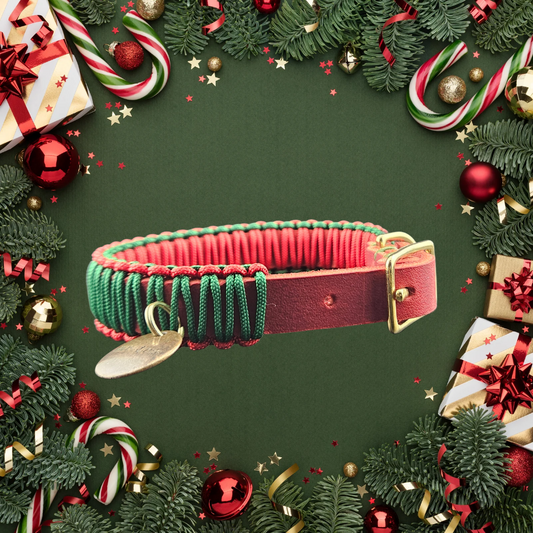 2025 Hundehalsband Limitierte Xmas Edition Rot Grösse XS Plus (26-30cm) 1,5cm Lederbreite