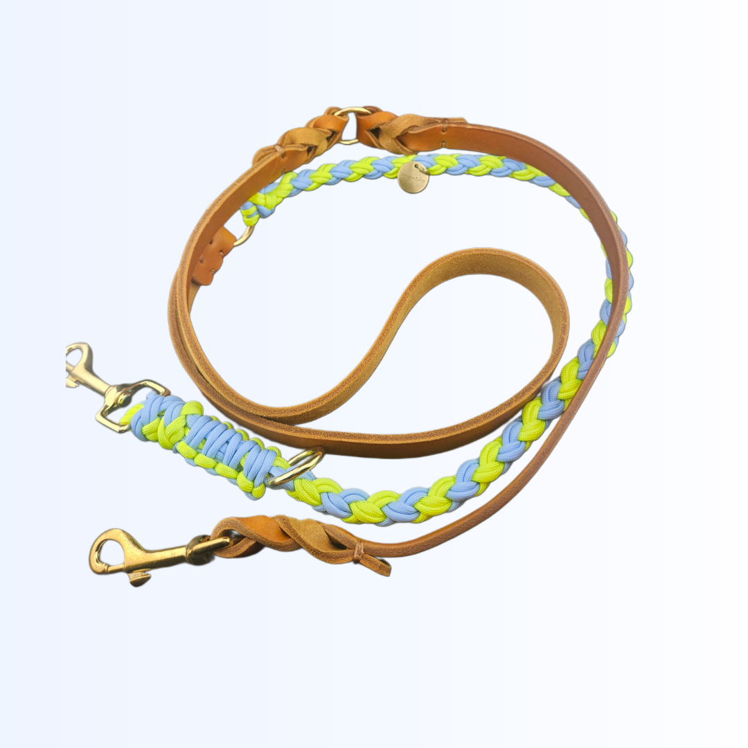 6815 Hundeleine Leder Paracord