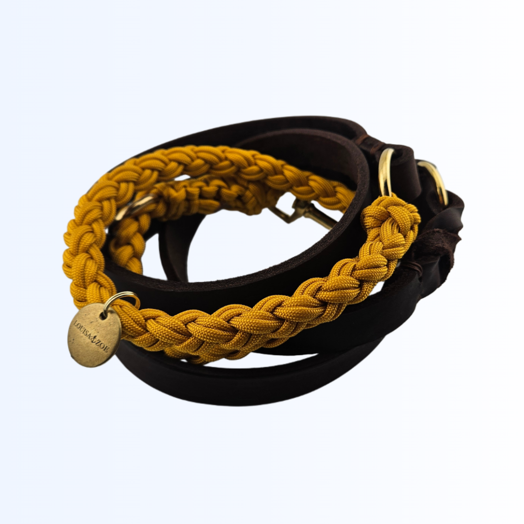 1912 Hundeleine Leder Paracord