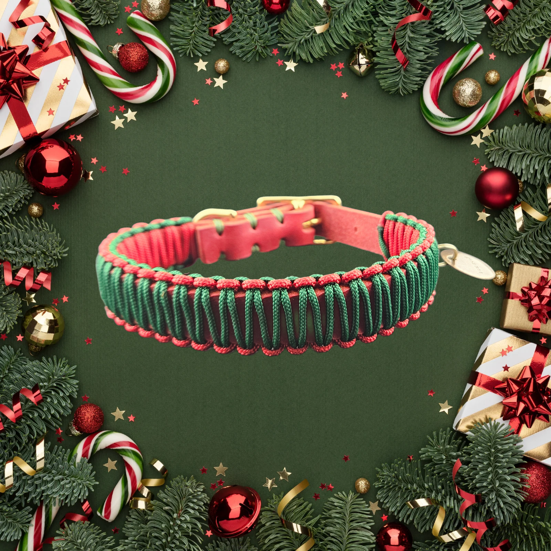 2025 Hundehalsband Limitierte Xmas Edition Rot Grösse XS Plus (26-30cm) 1,5cm Lederbreite