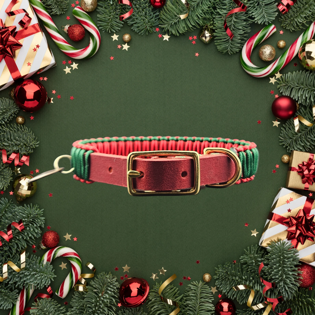 2025 Hundehalsband Limitierte Xmas Edition Rot Grösse XS Plus (26-30cm) 1,5cm Lederbreite