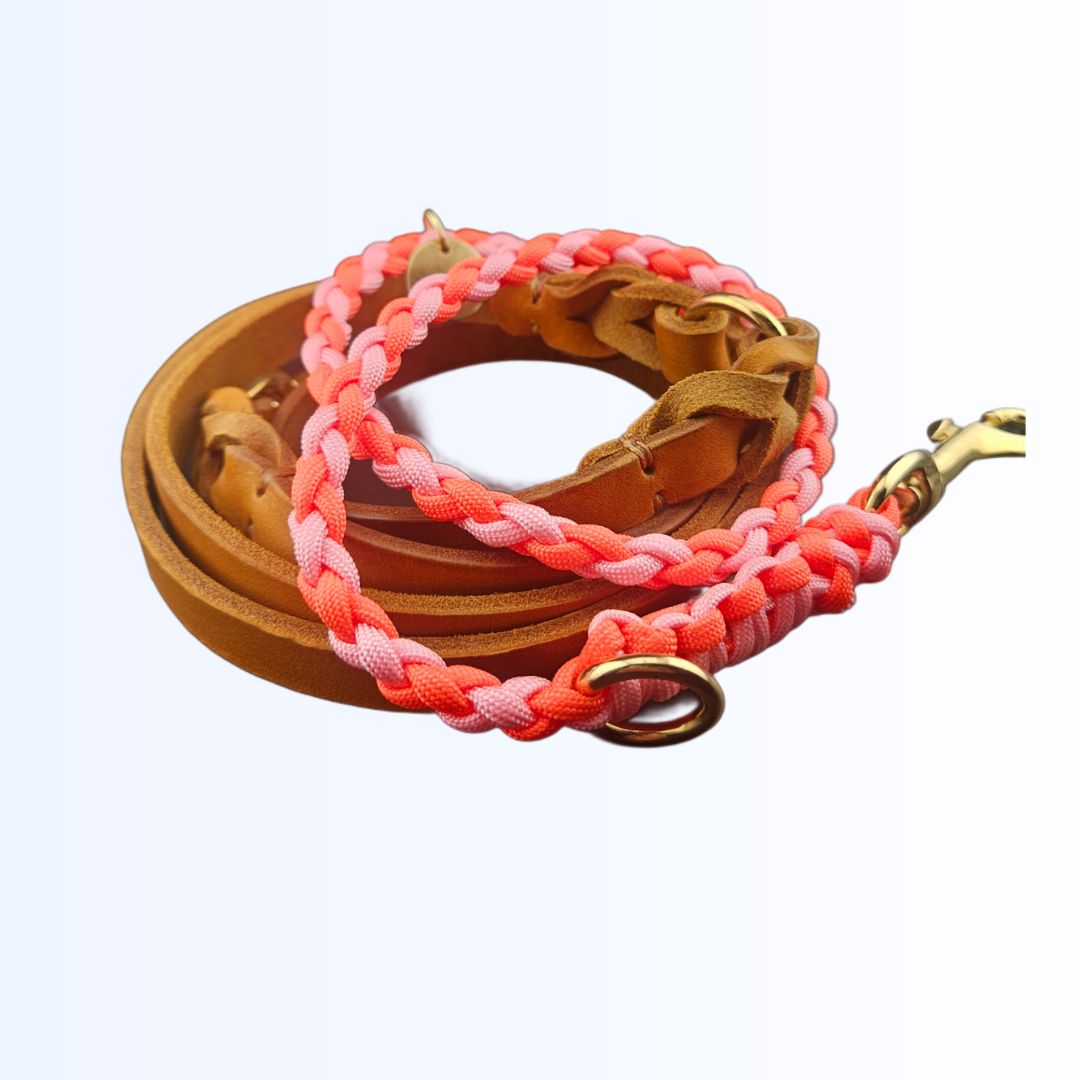 1991 Hundeleine Leder Paracord