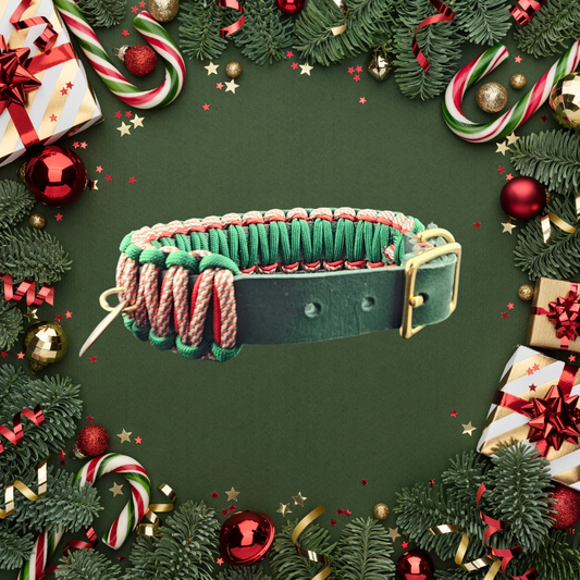 2025 Hundehalsband Limitierte Xmas Edition Rot Grösse S Plus (30-38cm) 2,0cm Lederbreite