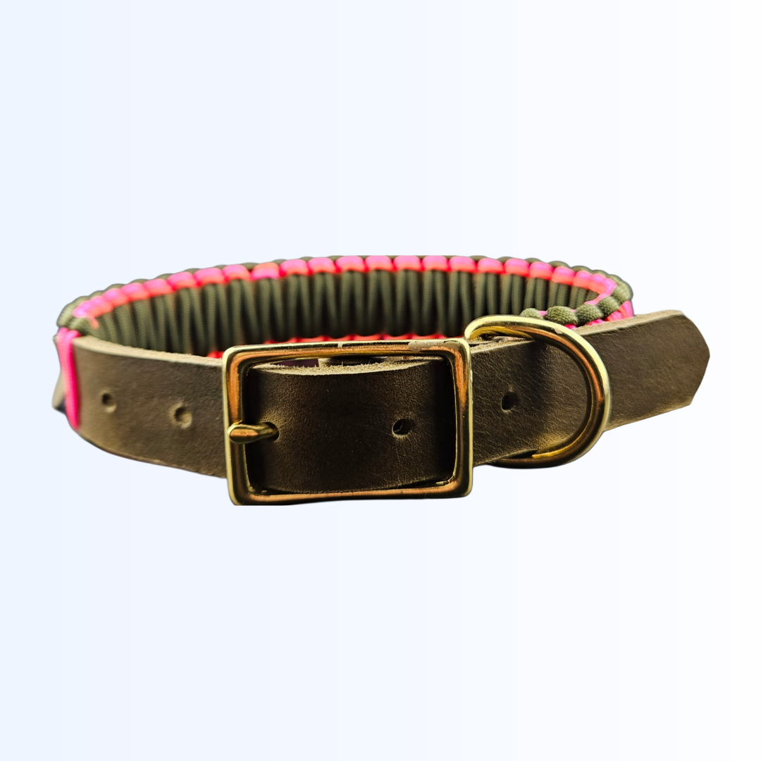 6181 HUNDEHALSBAND Oliv Neon Pink Neon Orange